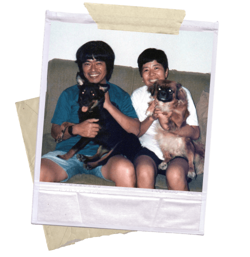 Union Plus Pet Insurance