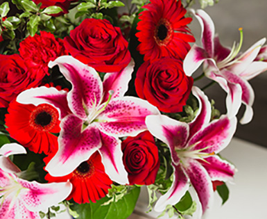 Save 25% on Teleflora Flowers and Gift Baskets for Valentine's Day Save 25% on Teleflora Flowers and Gift Baskets for Valentine's Day