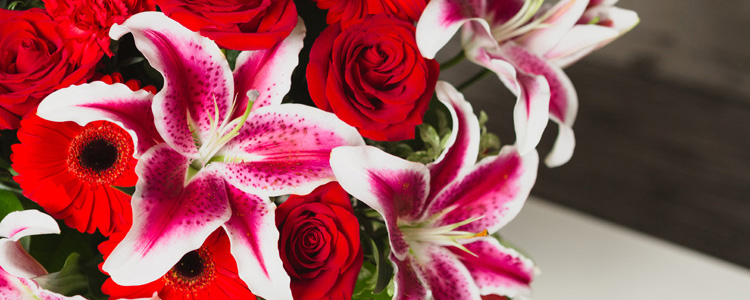 Teleflora Flower and Gift Arrangements Teleflora Flower and Gift Arrangements