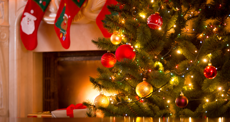 Real Christmas Trees: How to Prevent Fires Real Christmas Trees: How to Prevent Fires