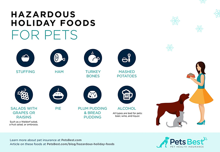 Bad pet foods