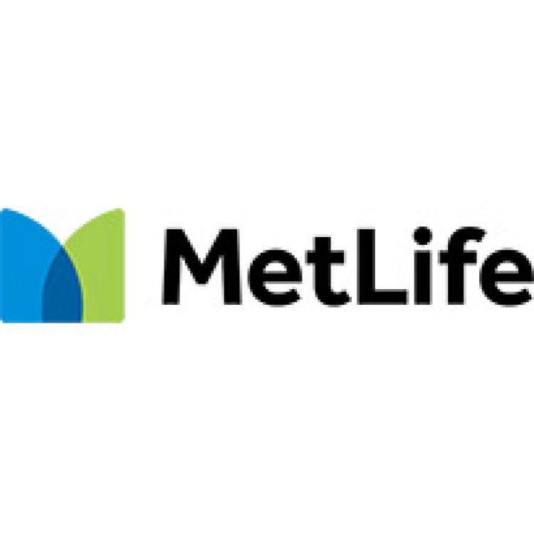 Metlife Insurance Quote Adorable Union Plus Auto Insurance From Met Life For Union Members & Their Metlife Insurance Quote Beauteous Union Plus Auto Insurance From Met Life For Union Members & Their