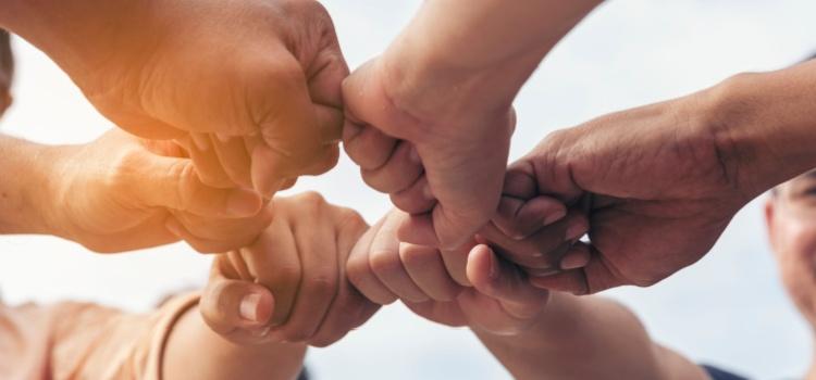 Help for those impacted by the Salt Fork Fire and Salt Fire in New Mexico