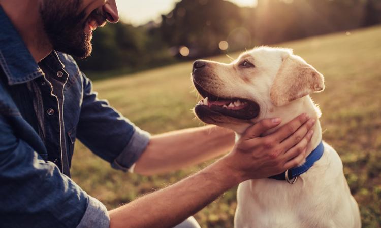 Five Heart Health Benefits of Owning a Pet