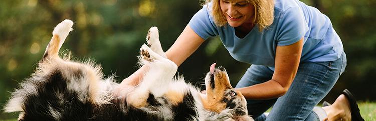  Three Pet Health Tips for the Start of Summer